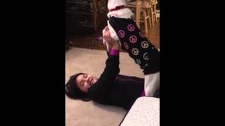 Dog shutting up little human up