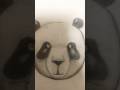 It came out better than I expected for my first animal draw.Stayed Tuned #art #drawing #artlovers