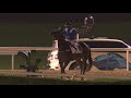 9/12/21 - Race 5 - Jebel Ali Port Sponsored by DP World