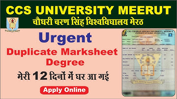 Urgent Duplicate Marksheet, Degree , Correction Marksheet || CCSU Meerut ||