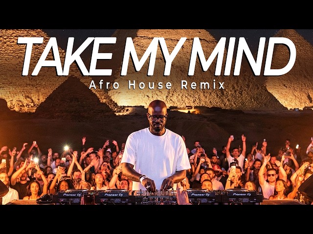 WizTheMc, bees & honey - Take My Mind (SETTOW x SENATVS Afro House Remix)