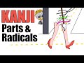 The Anatomy of a Japanese Kanji