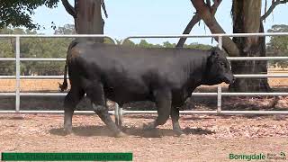 Download Lagu Lot 65 MBBW481 MP3