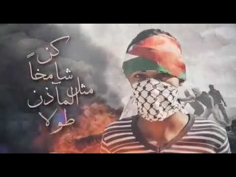 قف شامخا مثل المأذن طولا لا للتطبيع مع إسرائيل تسقط الأنظمة العربية