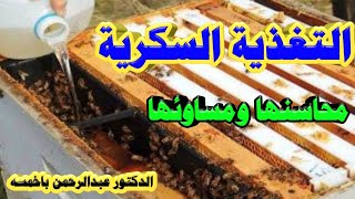 الطريقة الصحيحة لتغذية النحل بالمحلول السكري|أسرار التغذية السكرية للنحل الدكتور عبدالرحمن باخمسه