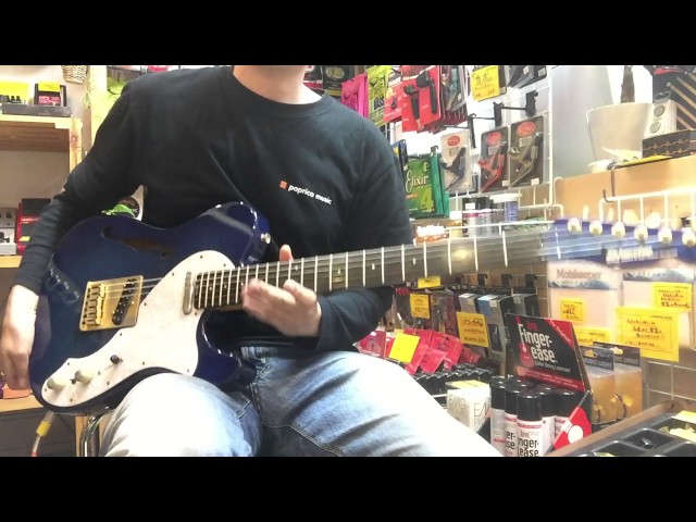 Blade Telecaster Thinline 試奏動画 - YouTube