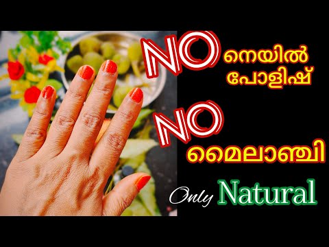 യൂട്യൂബിൽ ഇത് ആദ്യം / Natural Nail polish/ #ashasfoodmenu /#nailart /#beautytips #viral #cooking