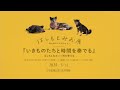 はしもとみお 間を奏でる Live Sculpture and music