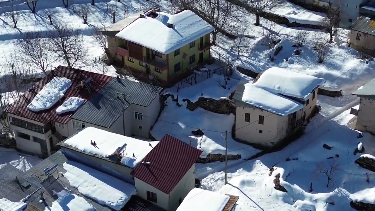 5 Şubat 2026   sittoros tan koyunden kiş 