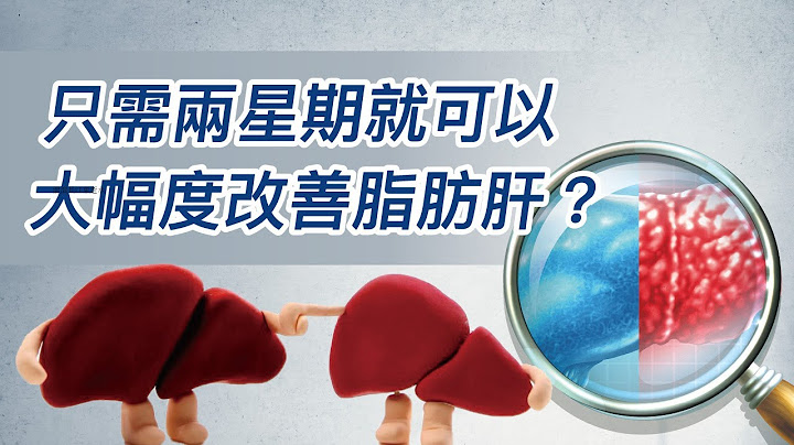 110.只需兩星期就可以大幅度改善脂肪肝？ - 天天要聞