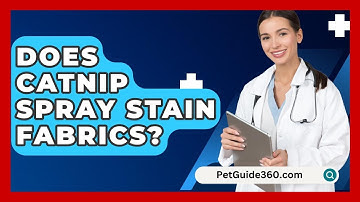 Does Catnip Spray Stain Fabrics? - PetGuide360.com