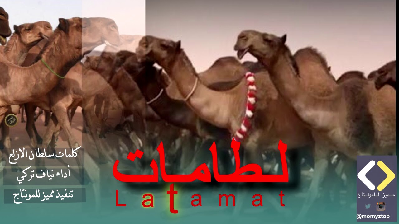 لطامات  الشيله الرسميه لمنقية ابناء عايض بن دغيثر الشيباني     كلمات/ سلطان الازلع   اداء/ نياف تركي