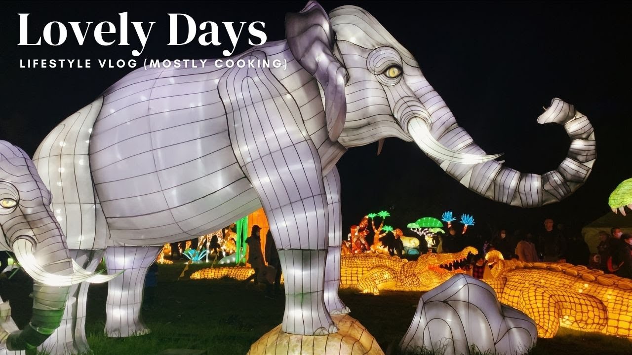 VLOG #34 || San Francisco Exploratorium | 2021 Glowfari Oakland Zoo | Fun South Lake Tahoe Getaway 🚗