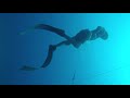 Crystal water freediving at rankin island tripoli