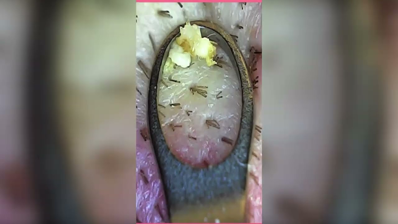 Compilation videos #10