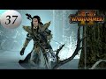 Total War: Warhammer 2. # 37. Алит Анар. Легенда.