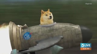 Elon Musk Tweet Drives Up Value Of Dogecoin Elon Musk Tweet Drives Up Value Of Dogecoin