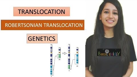 Translocation|Robertsonian Translocation|Genetic|CSIRNET|GATE|IITJAM|ICAR|DBT|Chromosomal Aberration