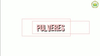 Cara Pembuatan PULVERES ( serbuk bagi ) CTM