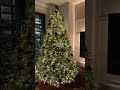 so festive in here 🎄