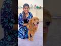 Do You Love Dogs? 🐕 Adorable &amp; Funny Dog Moments #viralvideo #love