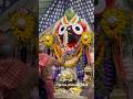 JAY JAGANATH ALATI #berhampur #odisha #thakurani #jagannath #kali #maa #puja #dandanacha