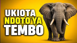 UKIOTA NDOTO YA TEMBO.