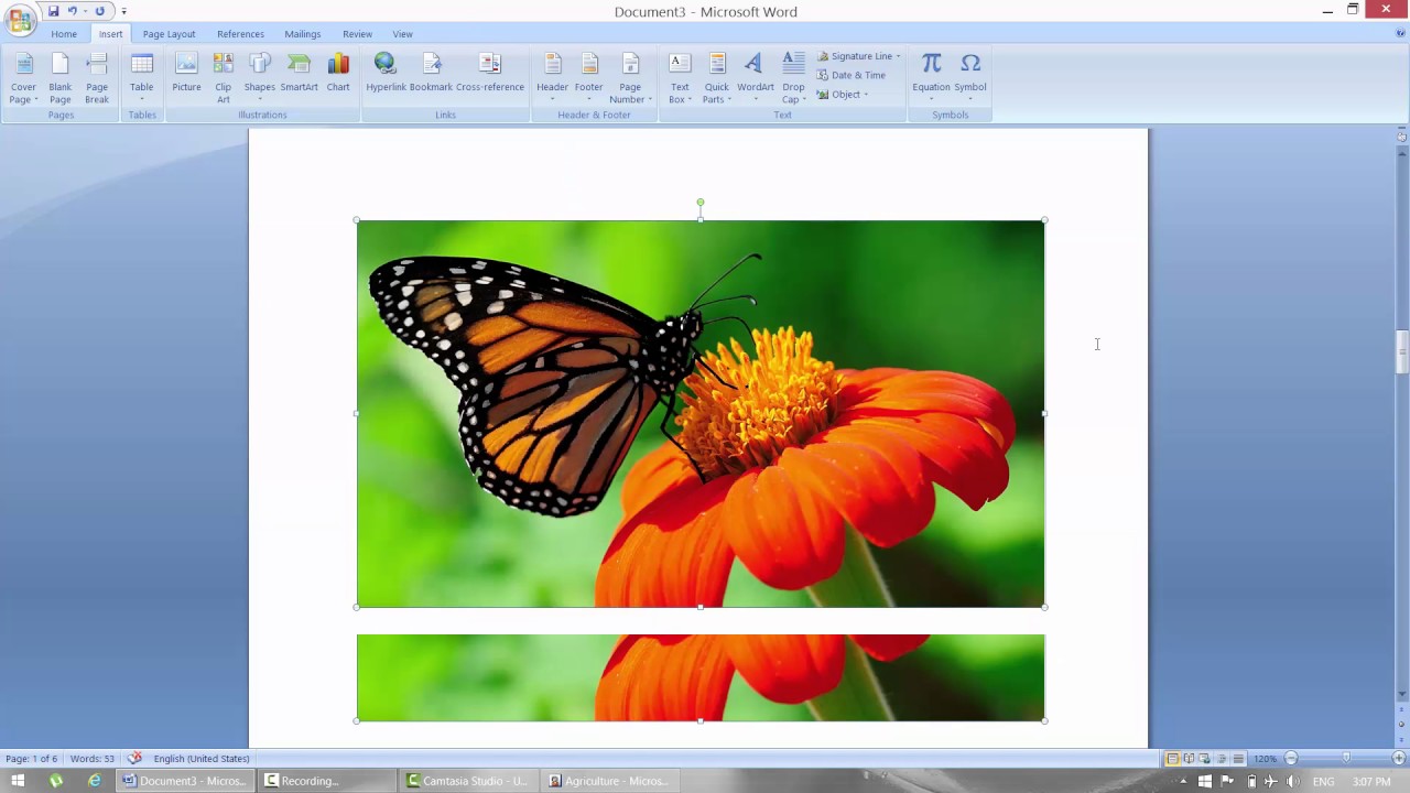 How to Insert Picture, Clipart, Word Art, Hyperlink, Header and Footer