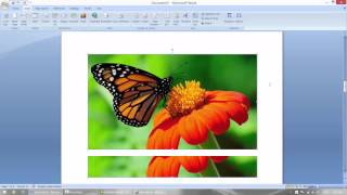 How to Insert Picture, Clipart, Word Art, Hyperlink, Header and Footer in MS Word