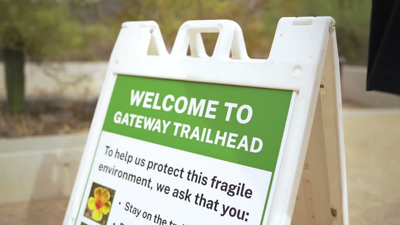 Hiking the McDowell Mountains Sonoran Preserve at the Gateway Trailhead