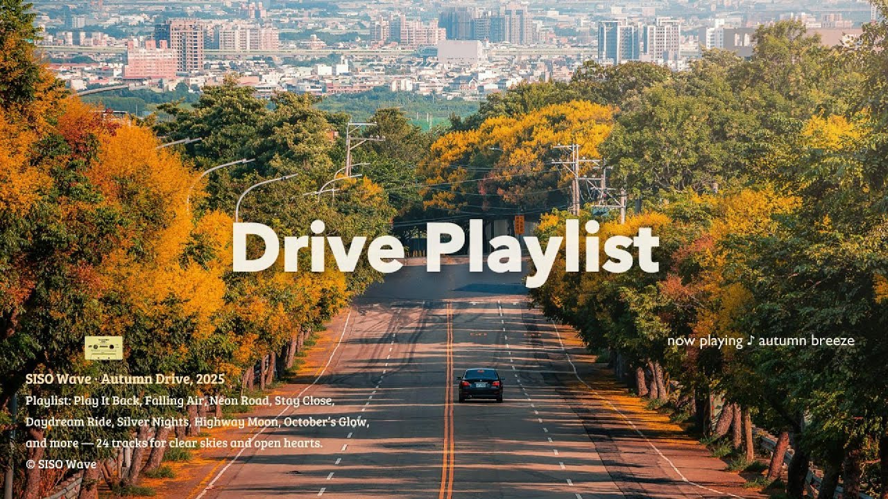 운전할 때 무조건 듣는 드라이브 노래 🚗💨 | 신나는 Drive Playlist