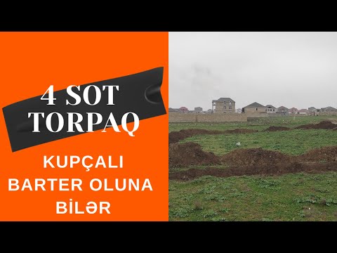 Video: Lowes-də diatomlu torpaq ala bilərəmmi?