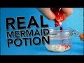 How To Become A Mermaid - A Potion That Really Works