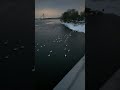 17 лютого 2026 р.