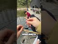 Mancing pakai umpan biasa Mancing pakai umpan gaib😭 Sekali cemplung langsung dapet babon! Kok bisa?