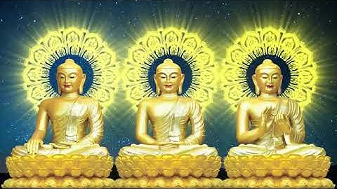 Ngày 06 tháng 11 năm 2024: Trực Tiếp TỤNG KINH HÒA HỢP VÀ HÒA GIẢI tại chùa Giác Ngộ,