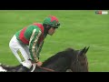 HOW HAS THAT HORSE WON?! The most unlikely victories!