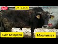 Өзгөн бука базары 🐂! Бука| Эркек торпоктор 20.12.2020