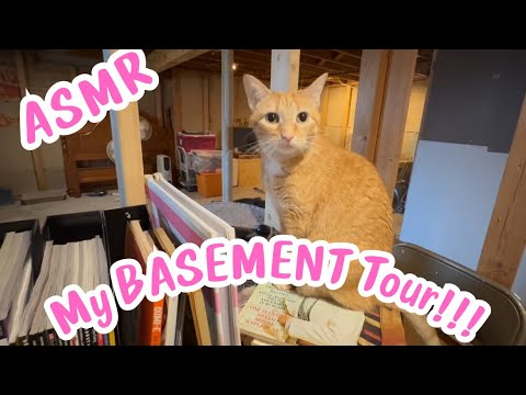 ASMR My BASEMENT Tour!🔥(whispering voiceover) YESOUL G1M PLUS 😊