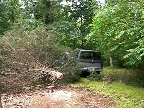 dragging a tree
