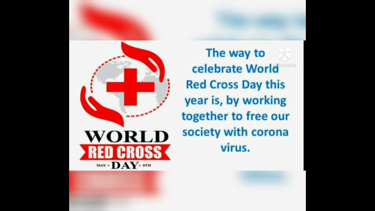 slogans and quotes on world red cross day