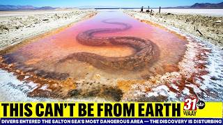 Divers Entered the Salton Sea s Most Dangerous Area The Discovery Is Disturbing