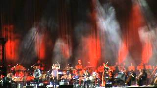 Sting in Sofia 07062011 15 Desert Rose