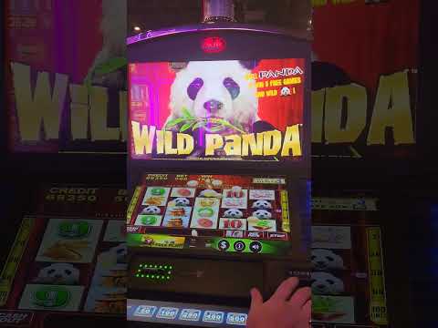 TOP ONLINE CASINOS DEUTSCHLAND / BEWERTUNG ONLINE CASINO – DIESE LISTE MUSST DU SEHEN!