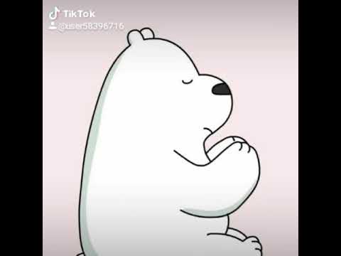 Video Chúng tôi đơn giản là gấu! - youtube