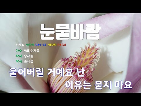 [은성 반주기] 눈물바람 - 9와숫자들