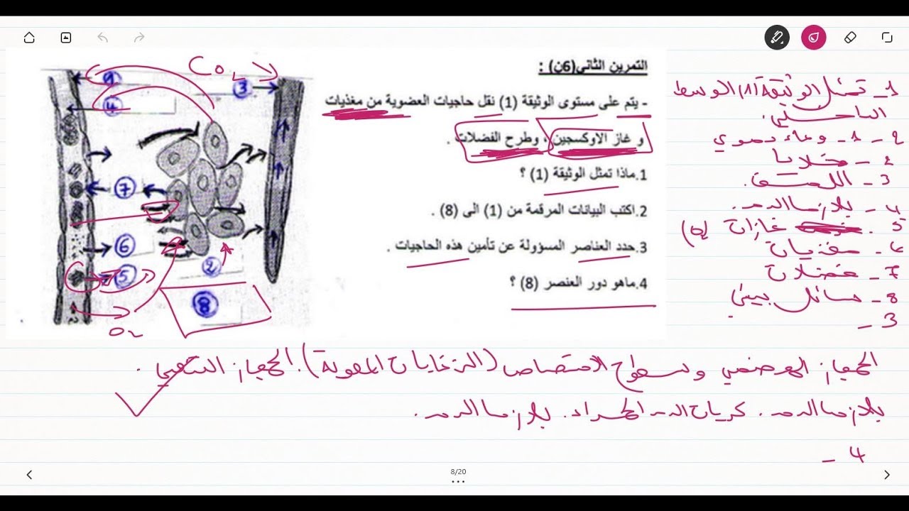 علوم طبيعية السنة الرابعة متوسط تمرين على الوسط الداخلي