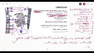 علوم طبيعية السنة الرابعة متوسط تمرين على الوسط الداخلي
