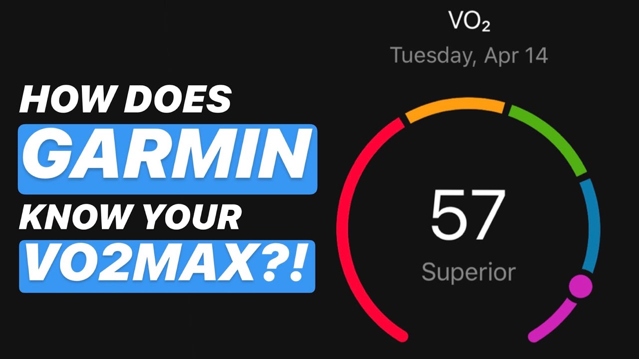 vo2 max zsírégetés)