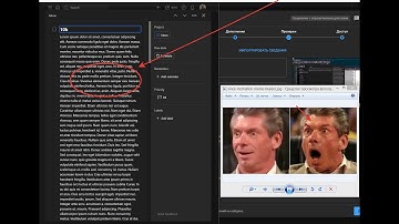 Todoist comeback from low lvl editor but... (meme)